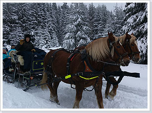 Wie wÃ¤r's mit einer Pferdeschlittenfahrt durch den tiefen Schnee auf dem Rennsteig bei Oberhof?