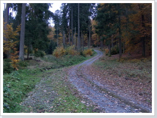 Farbenfrohe Herbststimmung im Thüringer Wald